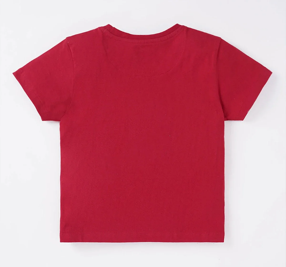 Boys Printed T-Shirt