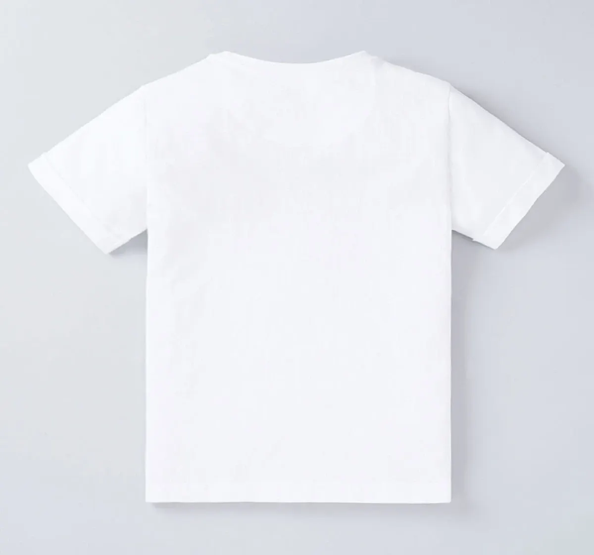 Boys Printed T-Shirt