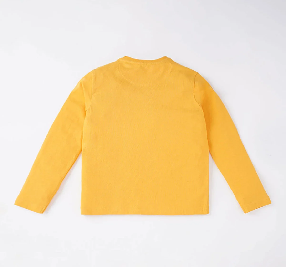 Boys Printed T-Shirt