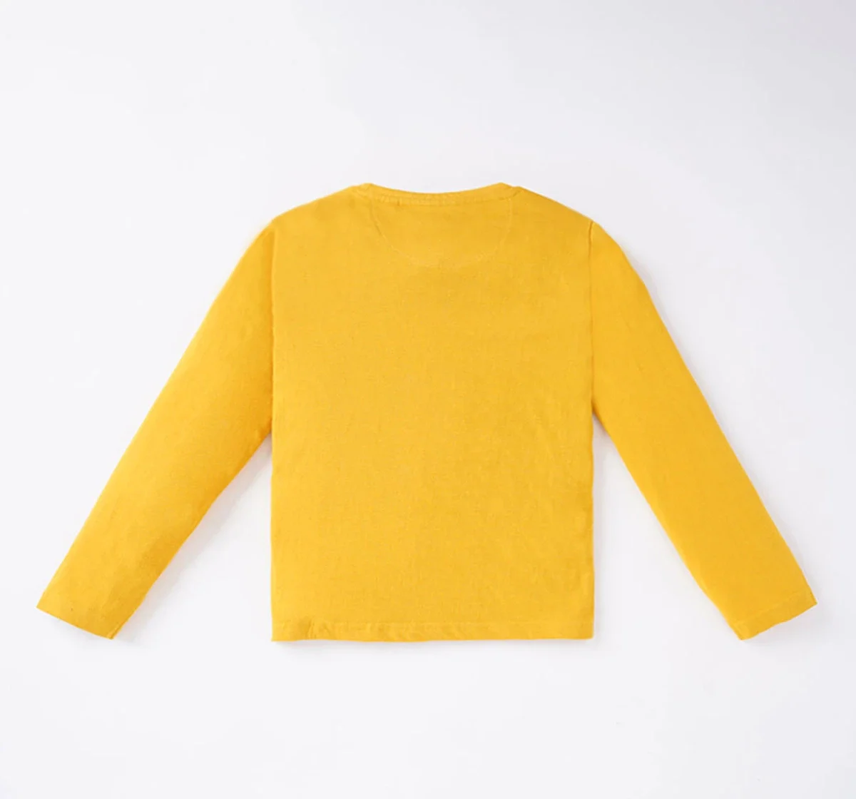 Boys Printed T-Shirt