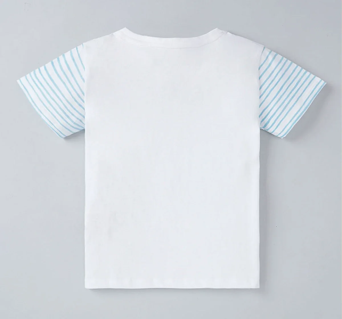 Boys Printed T-Shirt