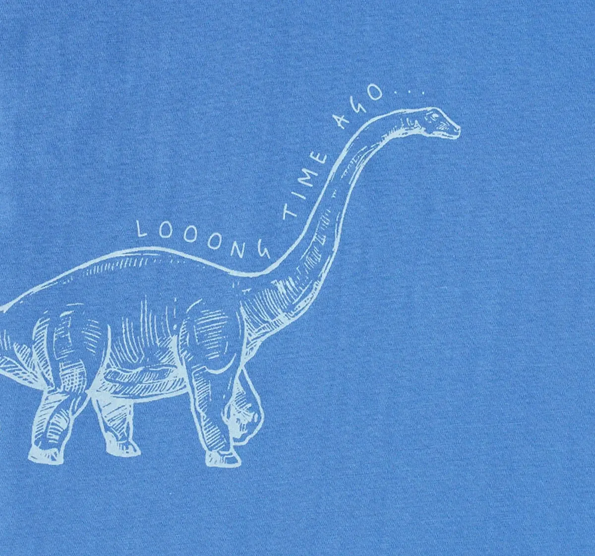 Boys Dino Printed Tee