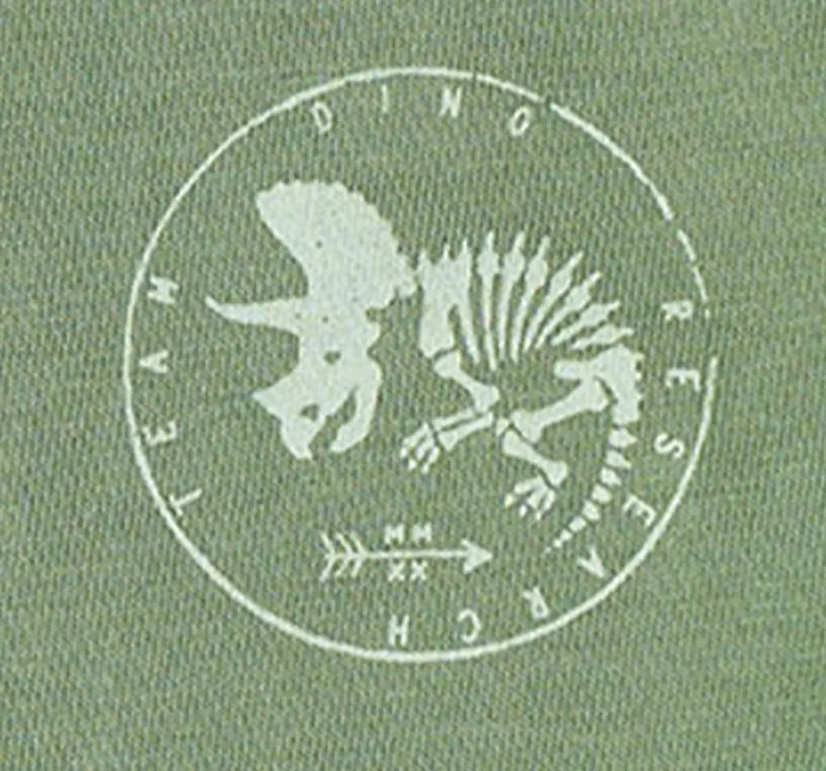 Boys Printed Tee Pack Of 2