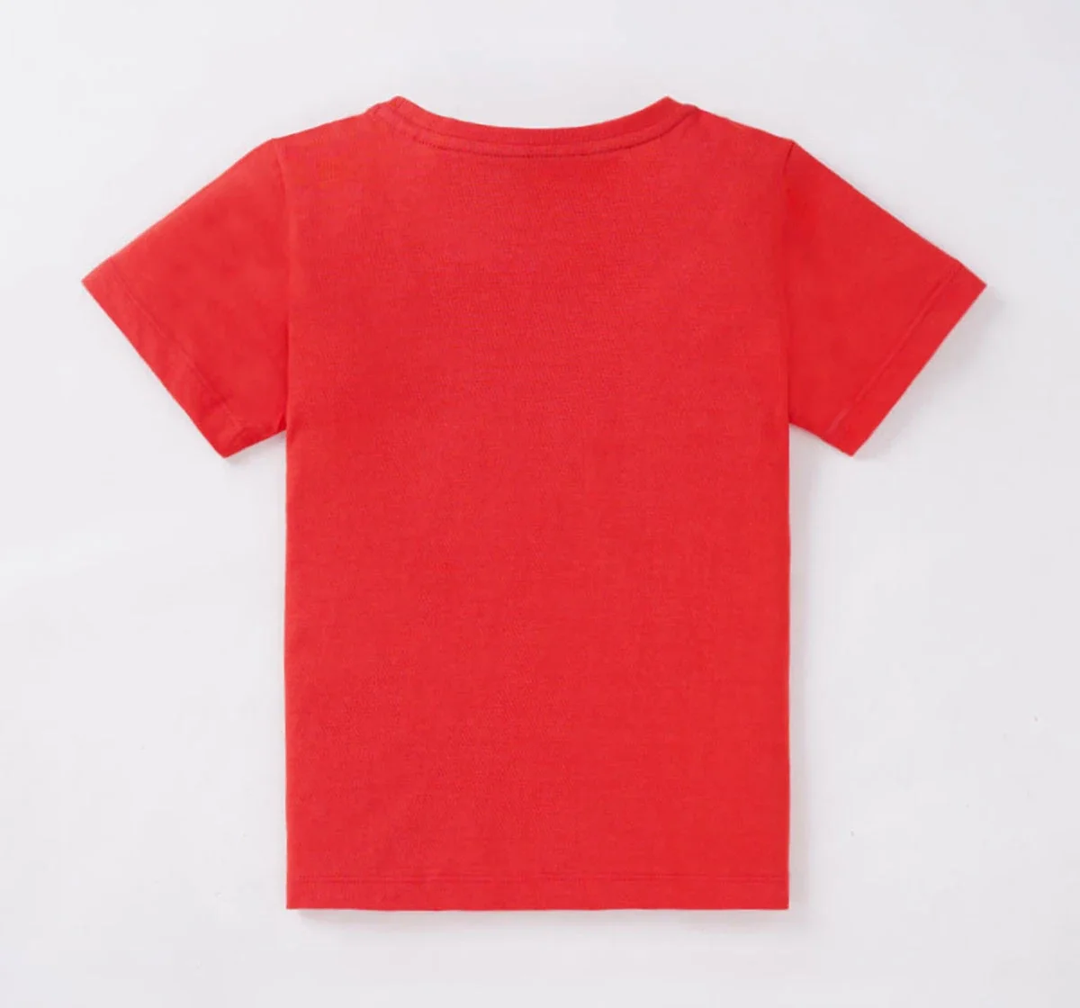 Boys Printed Tee Pack Of 2