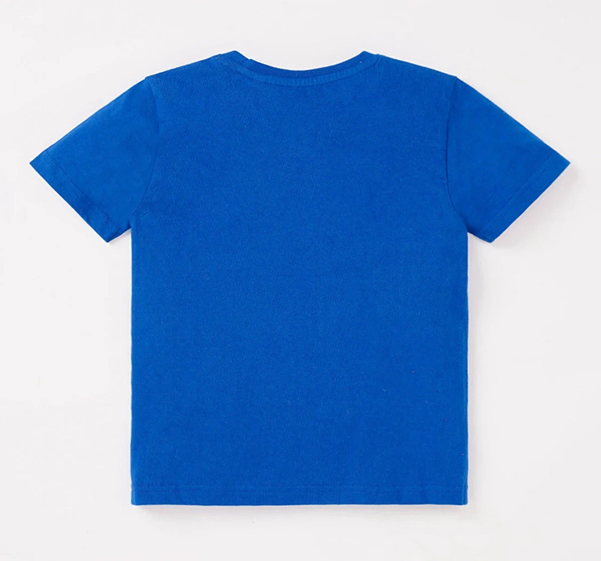 Boys Half Sleeves Printed Tee