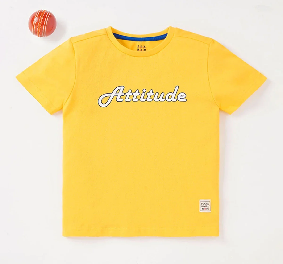 Boys Half Sleeves Printed Tee