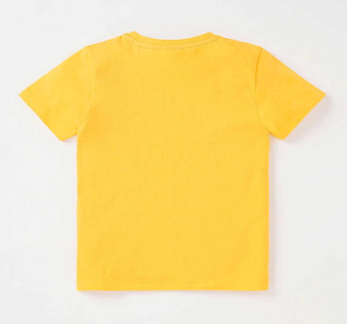 Boys Half Sleeves Printed Tee