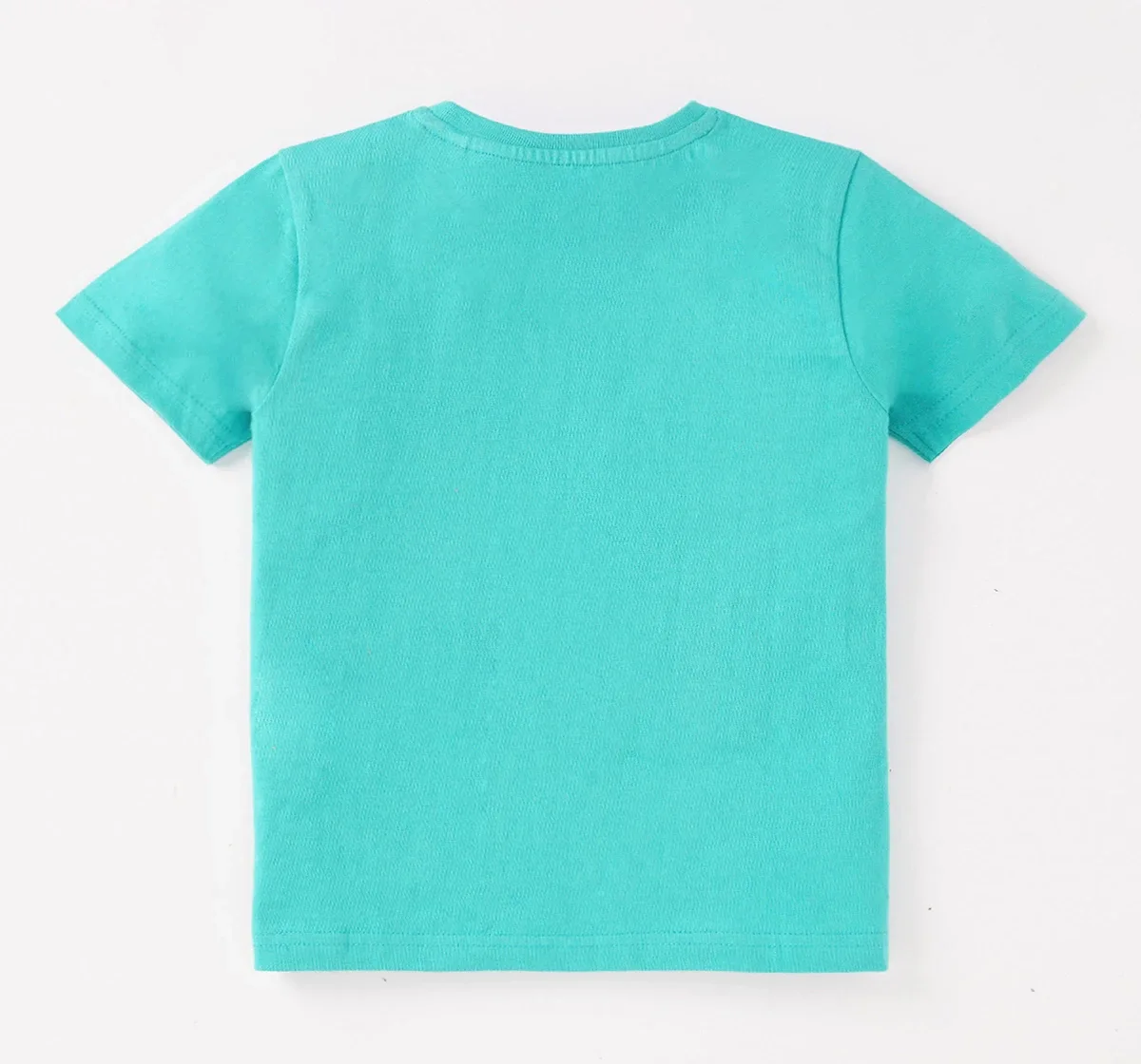 Boys Half Sleeves Printed Tee