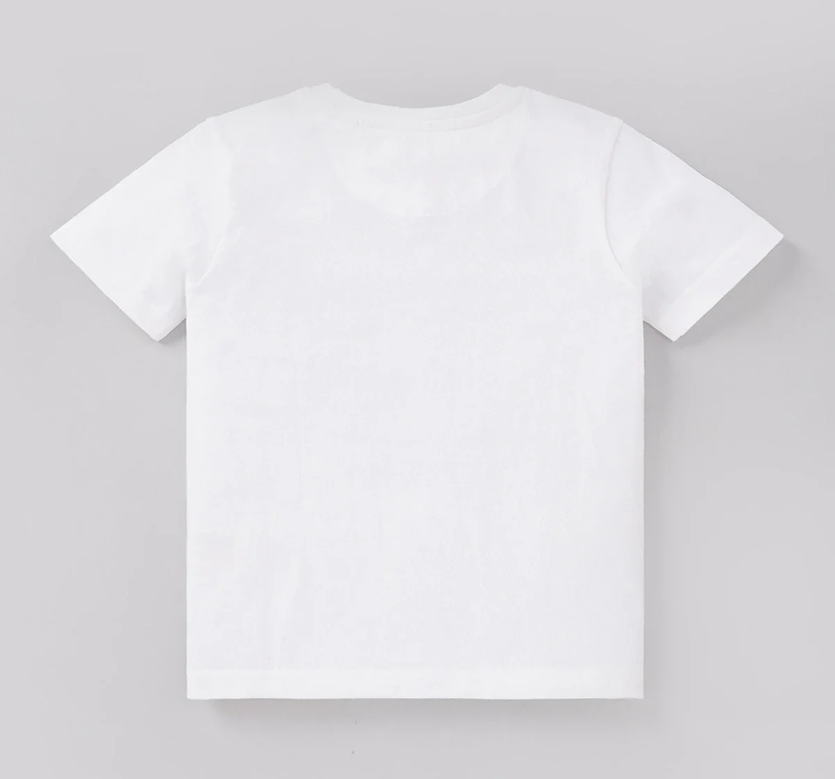 Boys Crew Neck Printed Tee