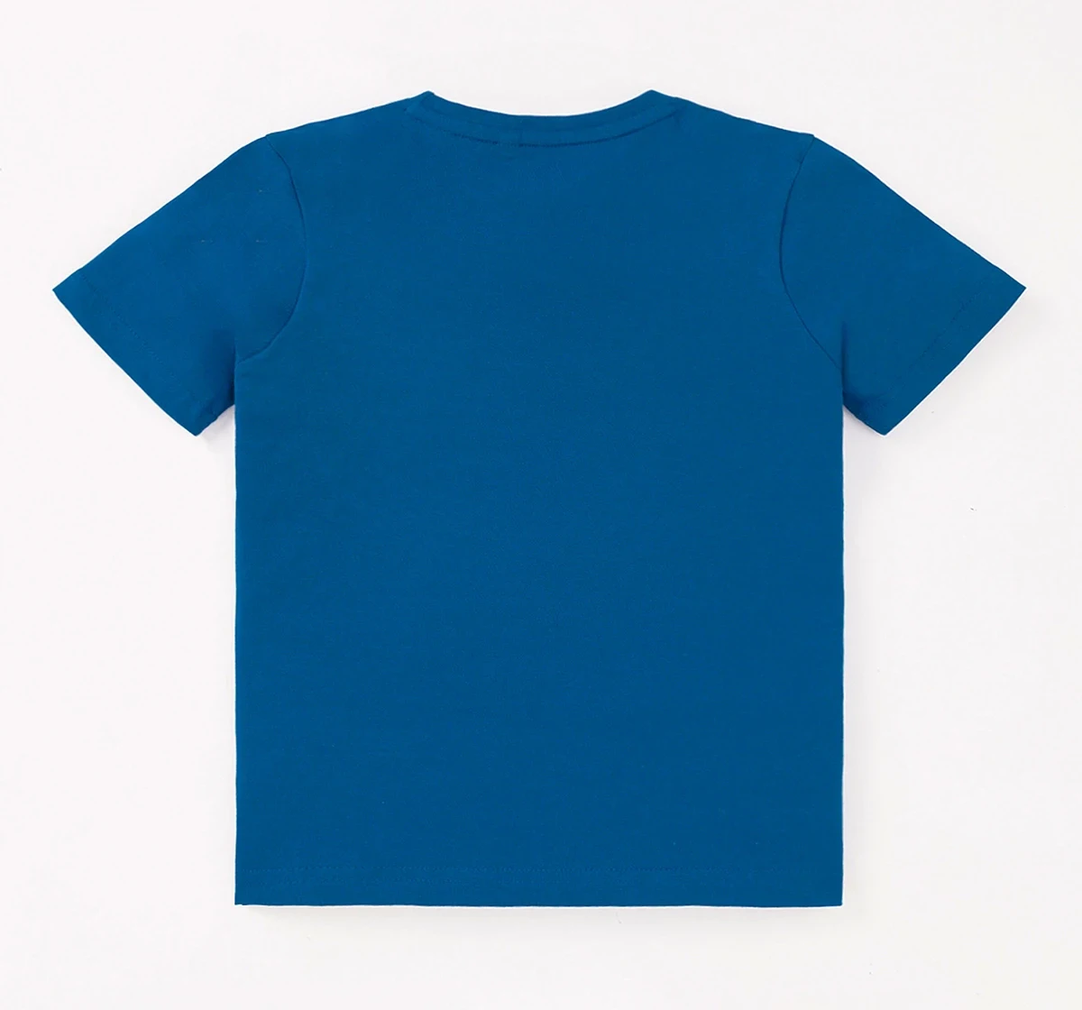 Boys Half Sleeves Printed Tee