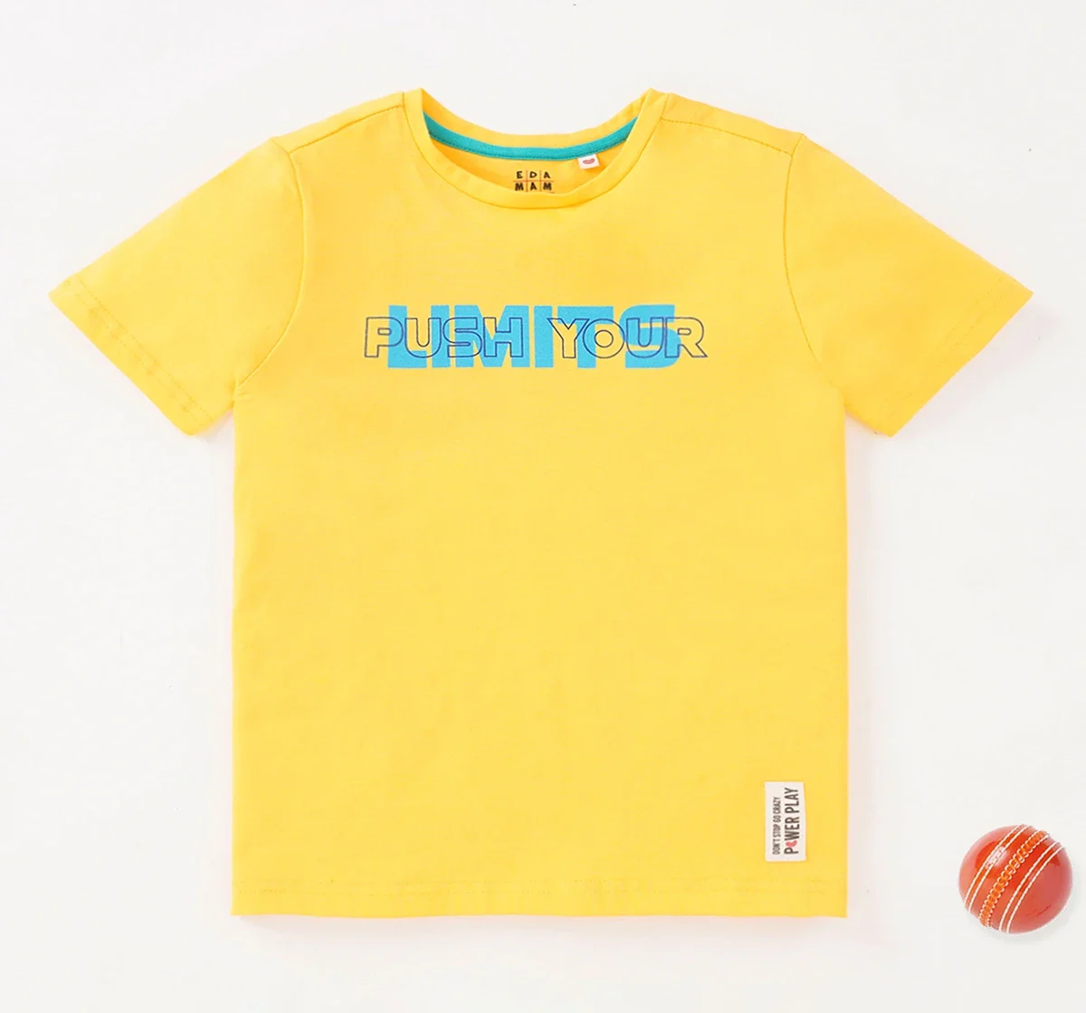 Boys Half Sleeves Chest Print Tee