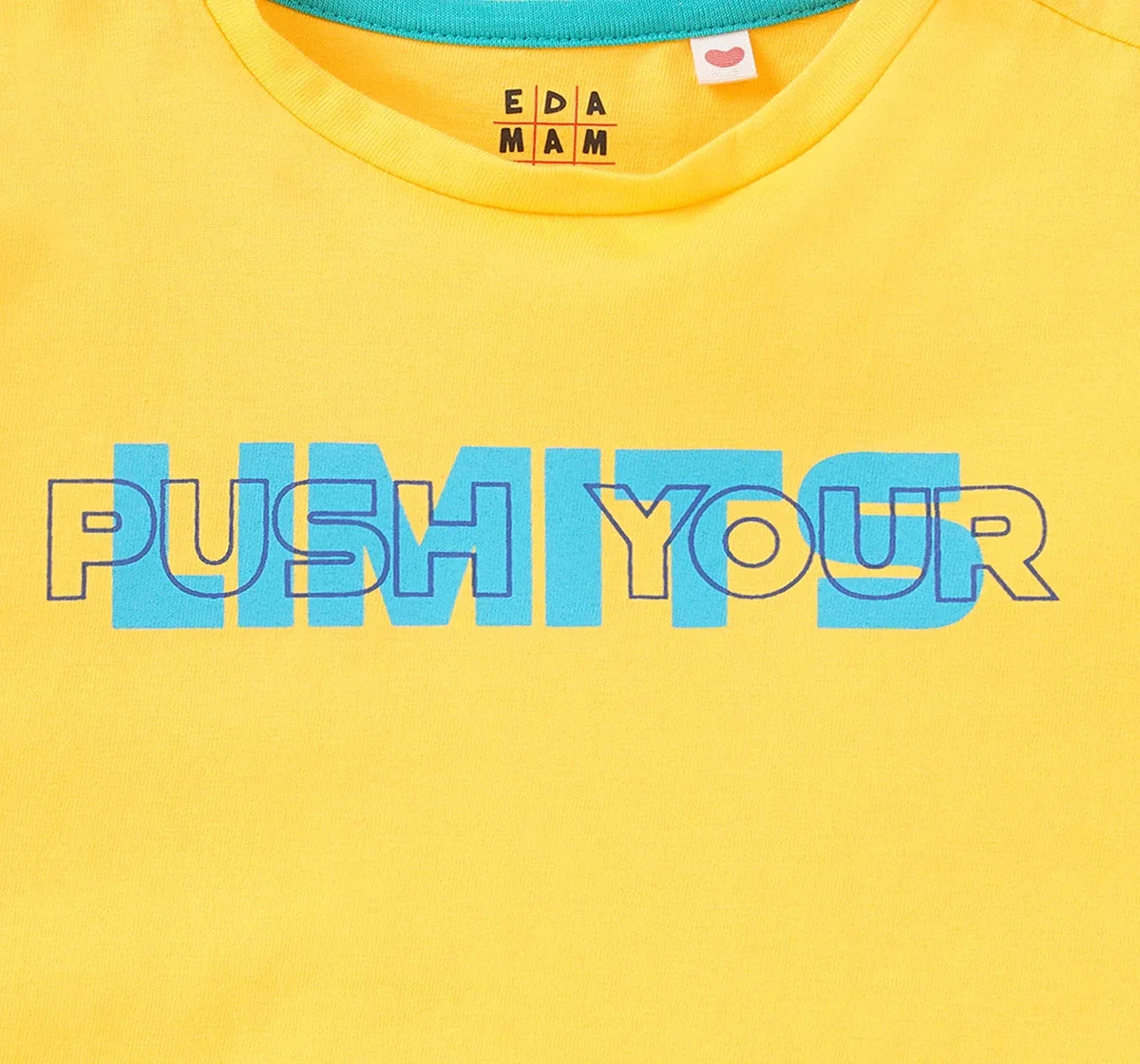 Boys Half Sleeves Chest Print Tee