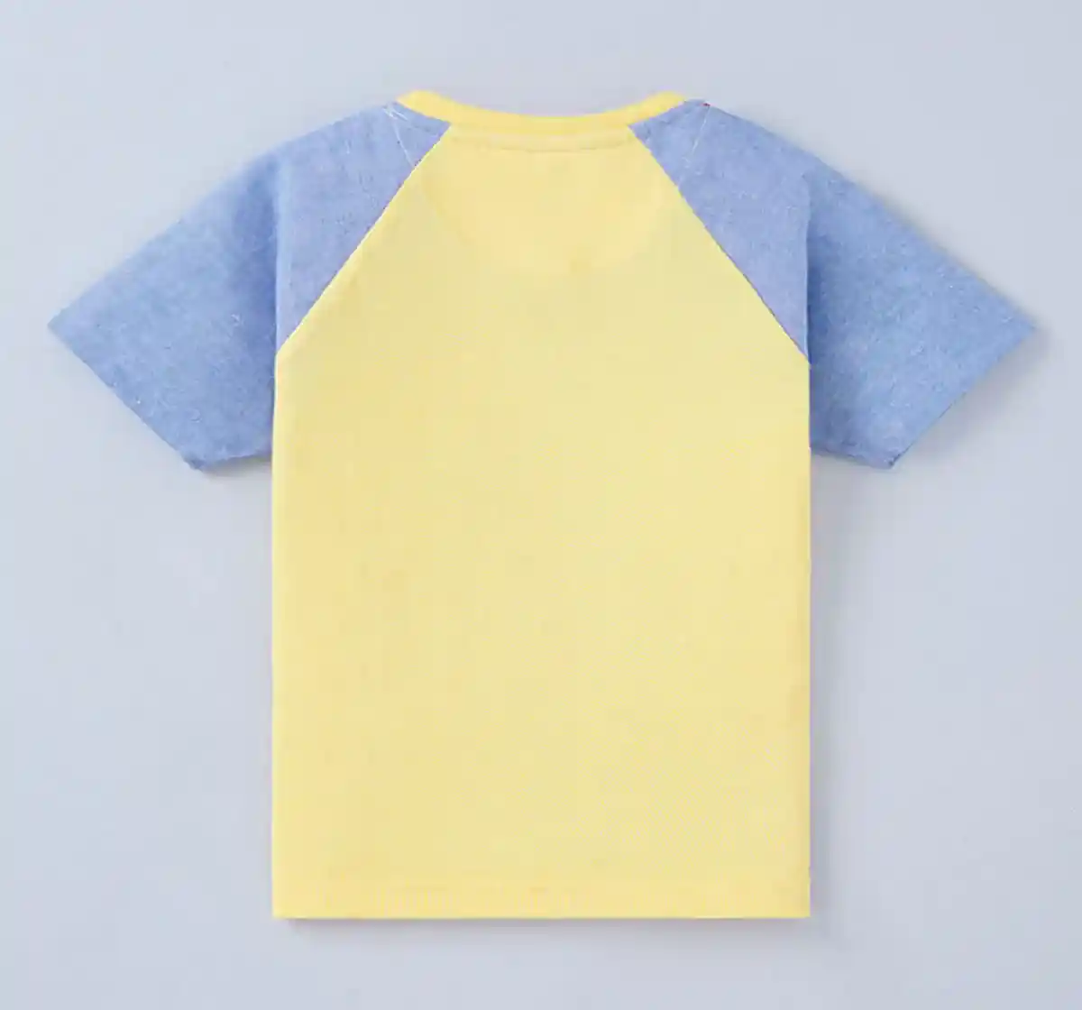 Boys Cut And Sew Raglan Tee