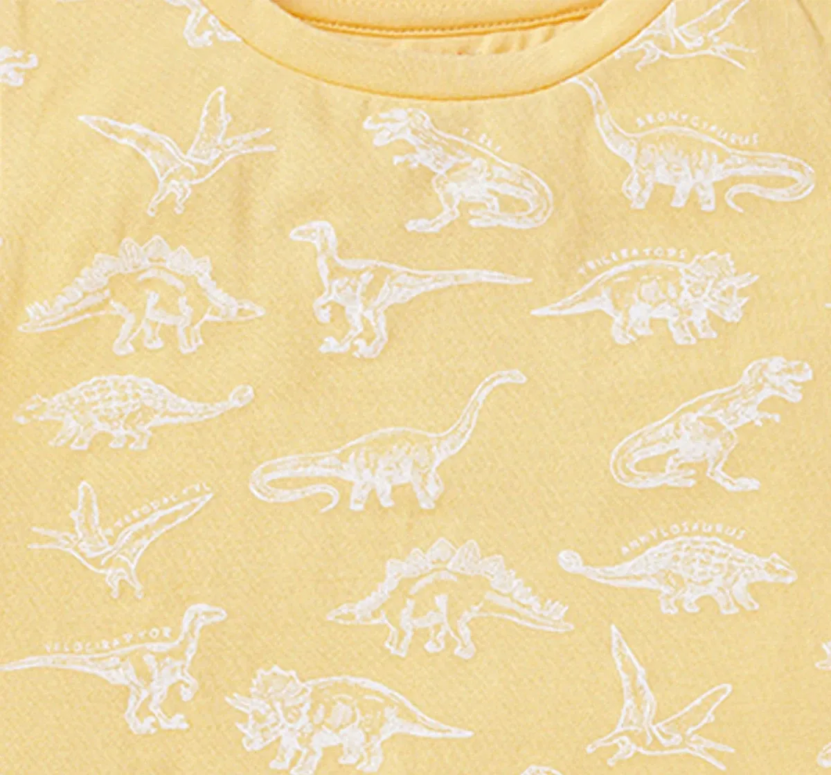 Boys Dino Printed Vest