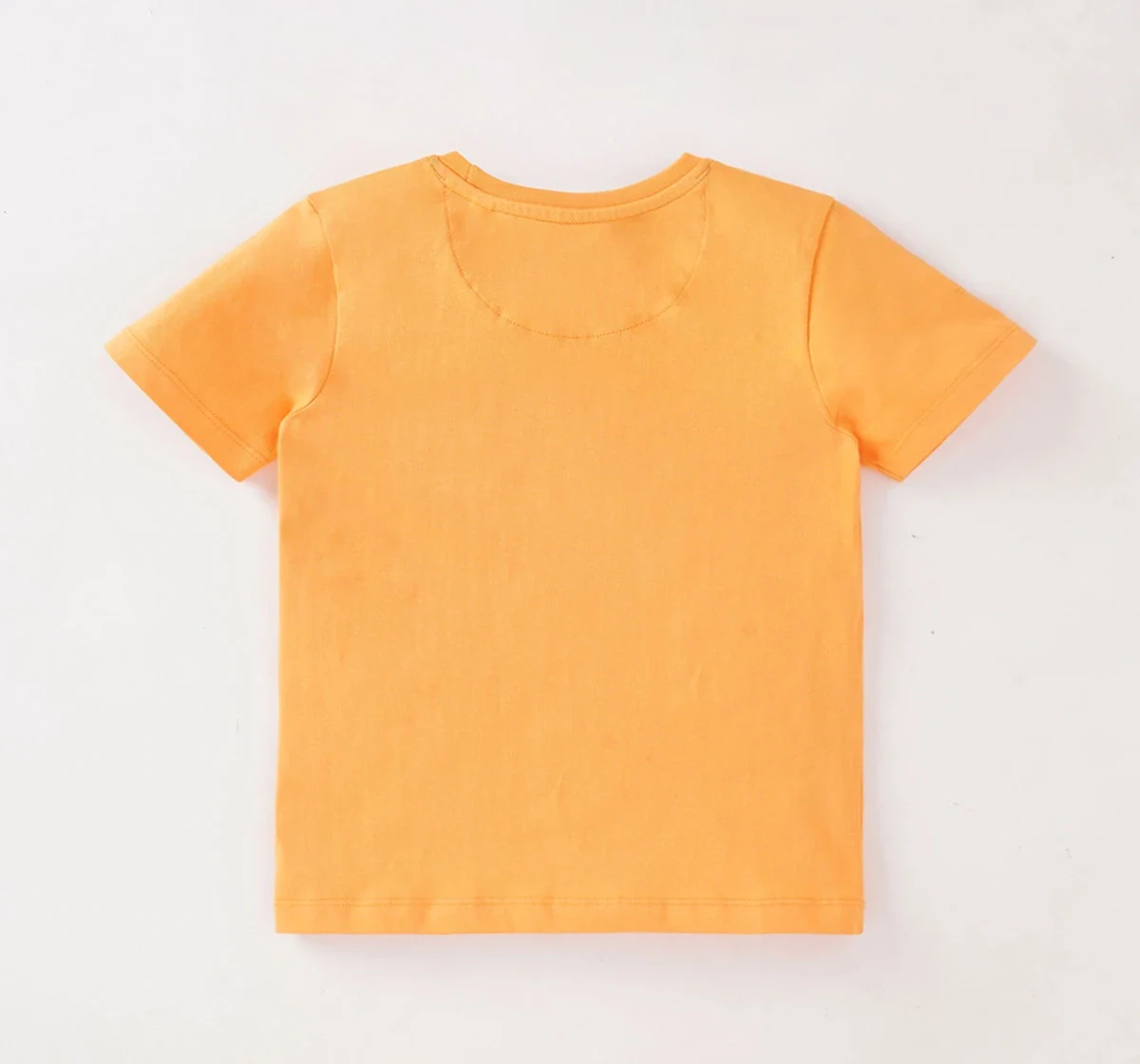Boys Crew Neck Printed Tee
