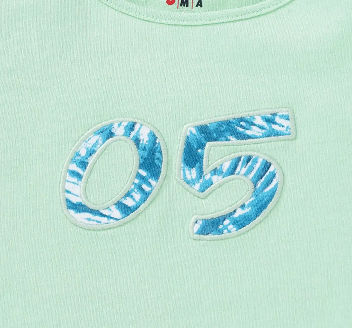 Girls Crop Tee With Applique