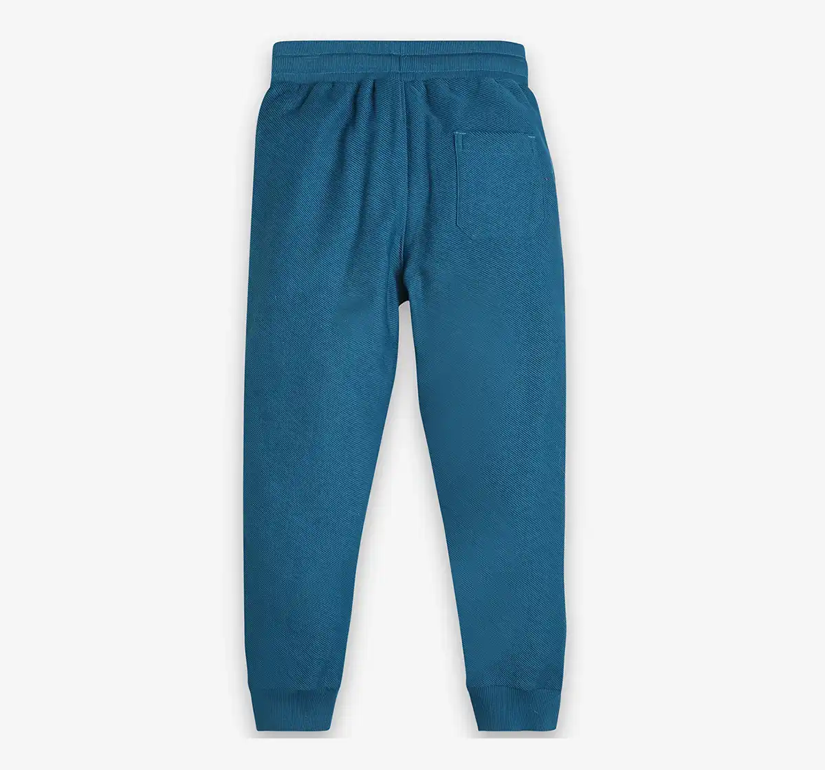 Boys Printed Joggers - Blue