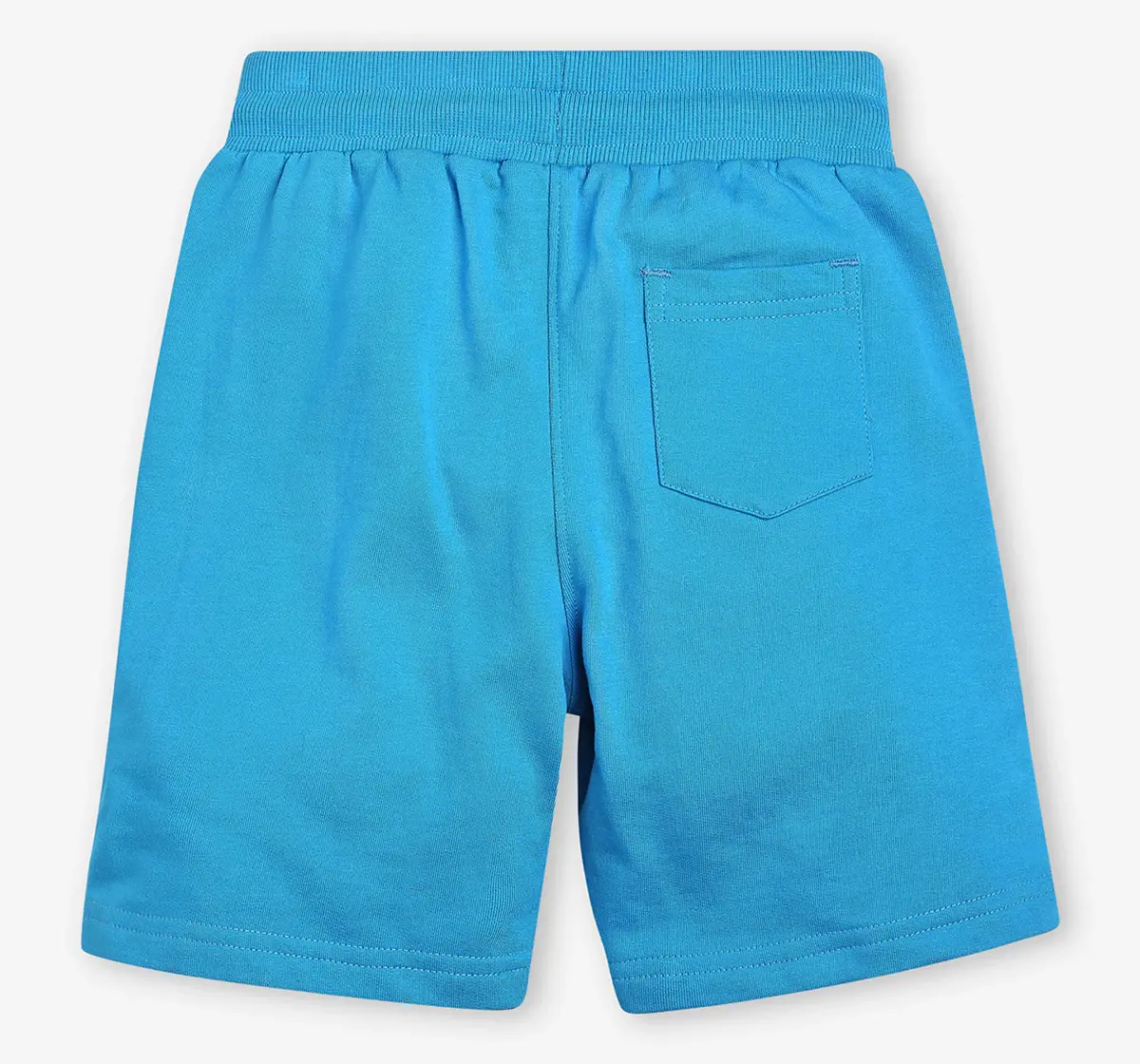 Boys Printed Knit Short - Blue