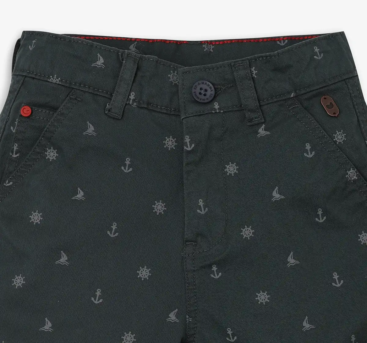 Boys Printed Shorts - Green