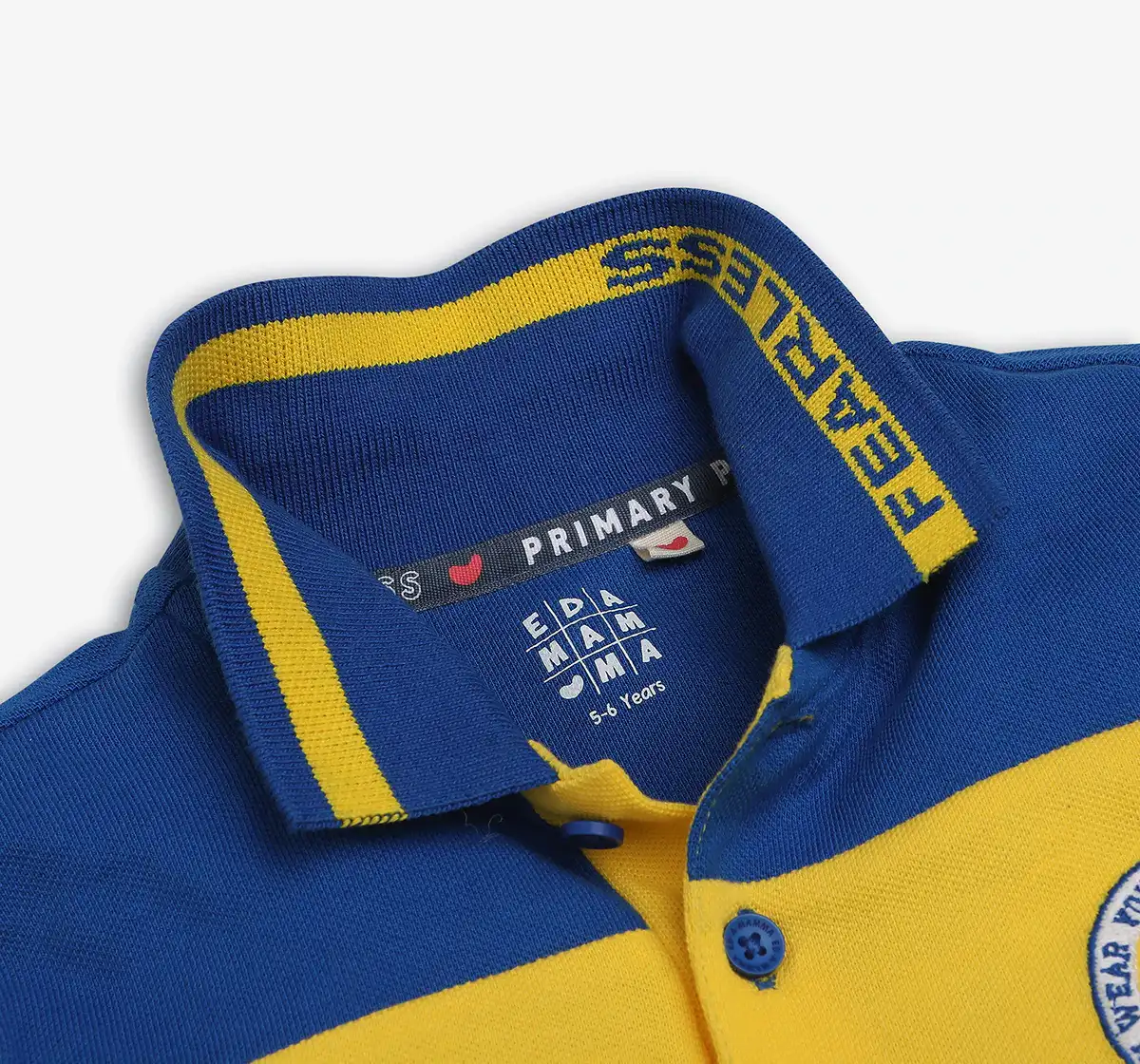 Boys 100% Cotton T-Shirt - Multicolour