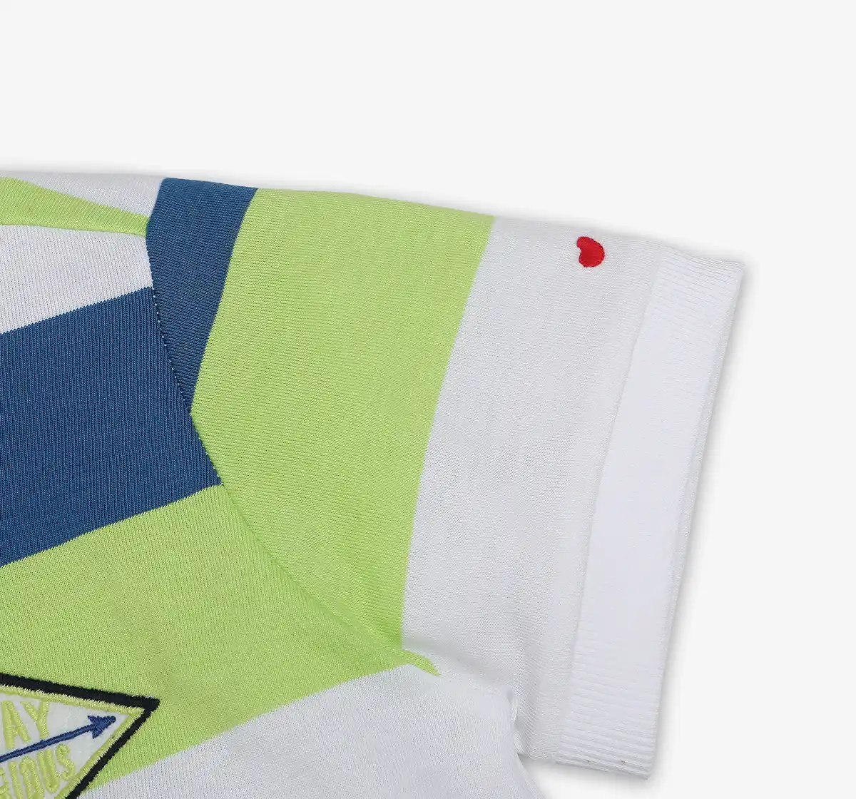 Boys 100% Cotton Striped Polo T-Shirt - Multicolor