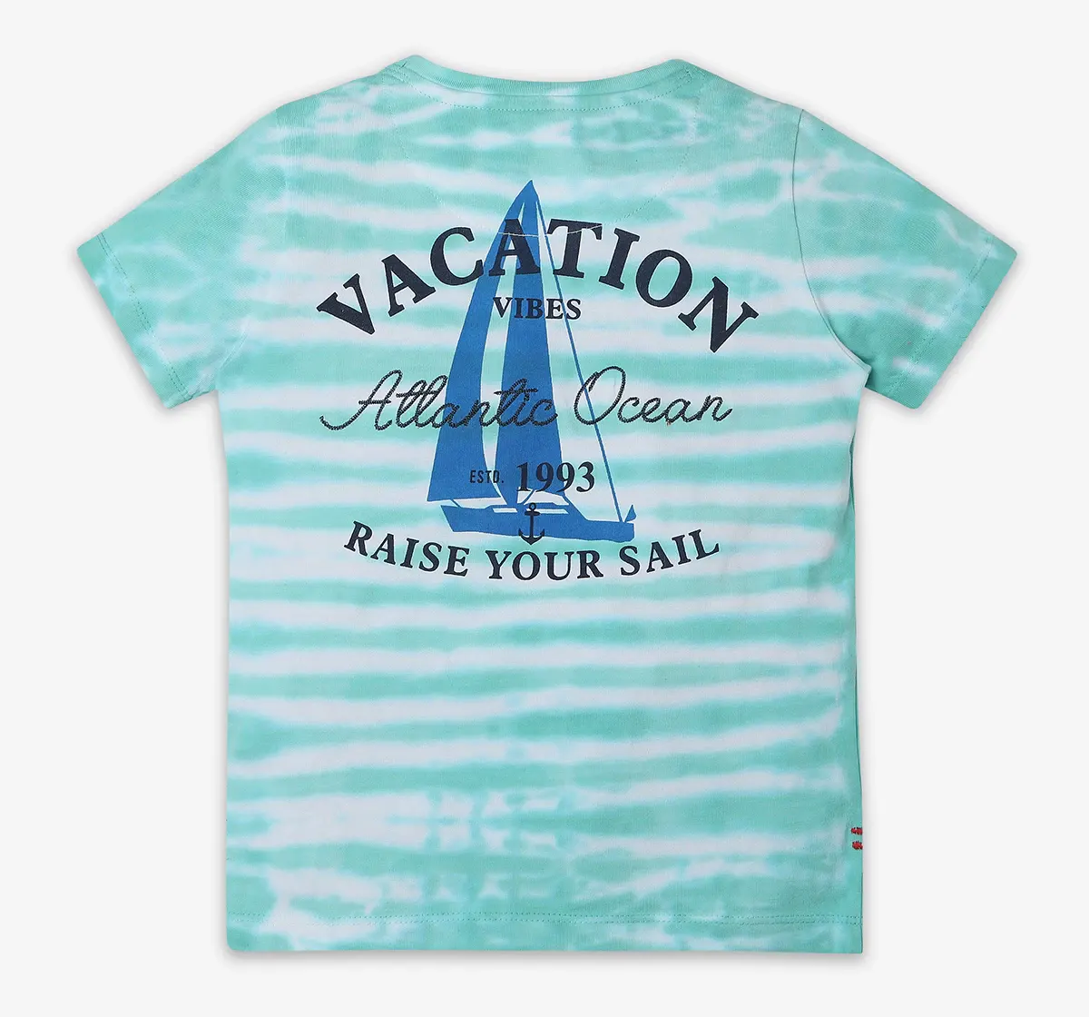 Boys Tie Dye Printed T Shirt - Multicolor