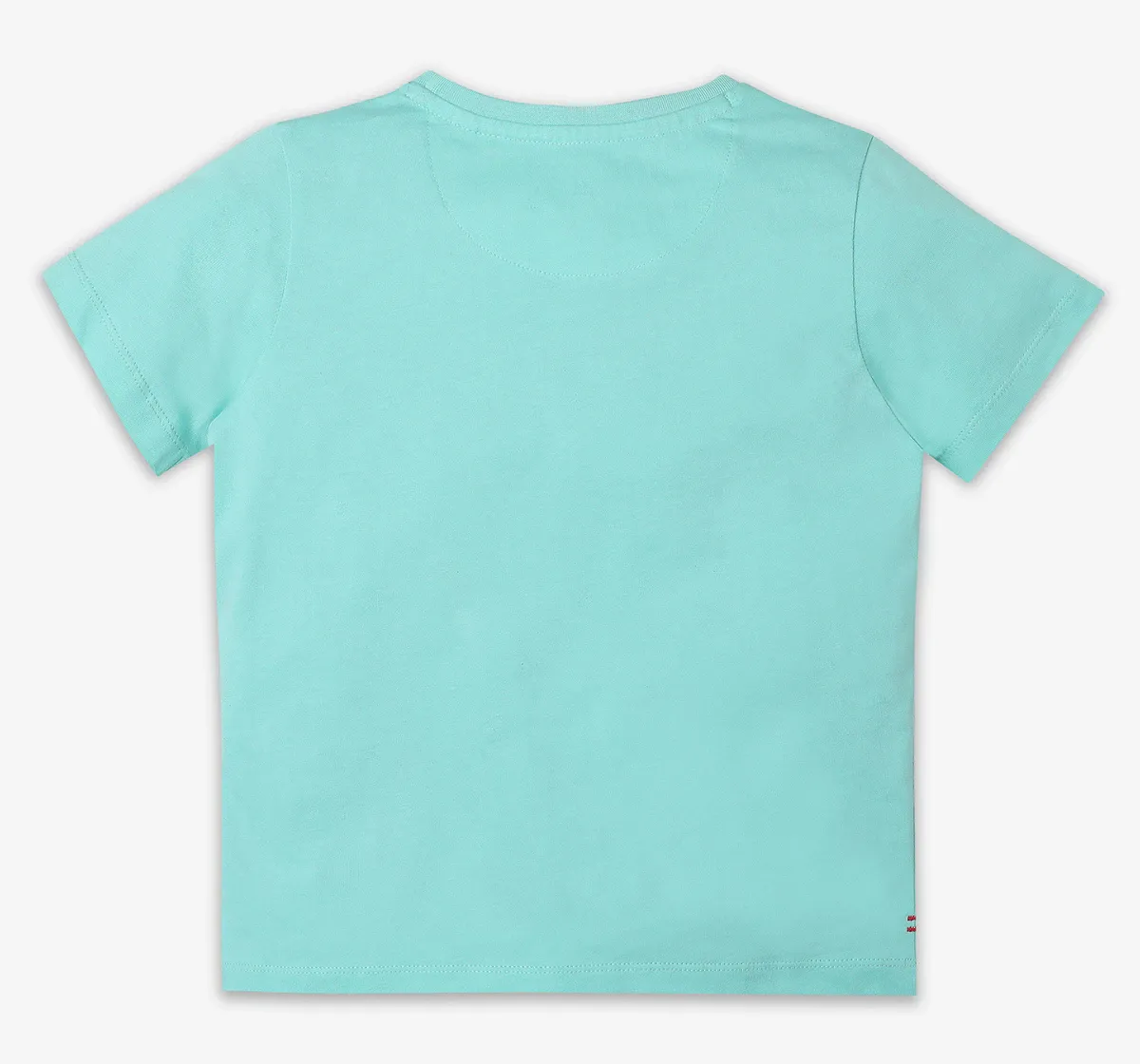 Boys Printed Tshirt - Green