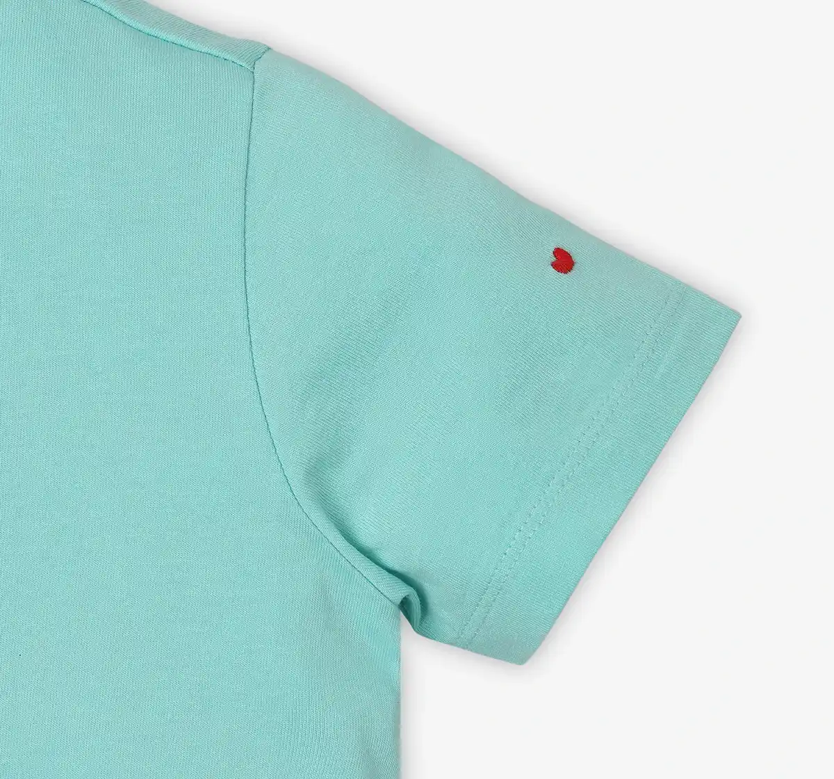 Boys Printed Tshirt - Green