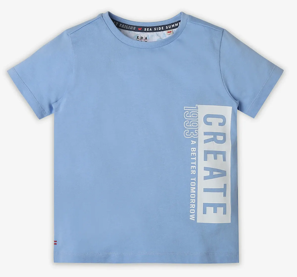 Boys Printed T Shirt - Blue