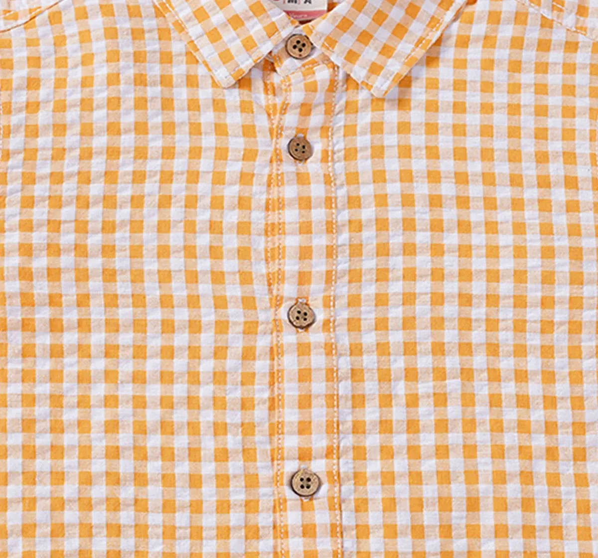 Boys Checked Shirt