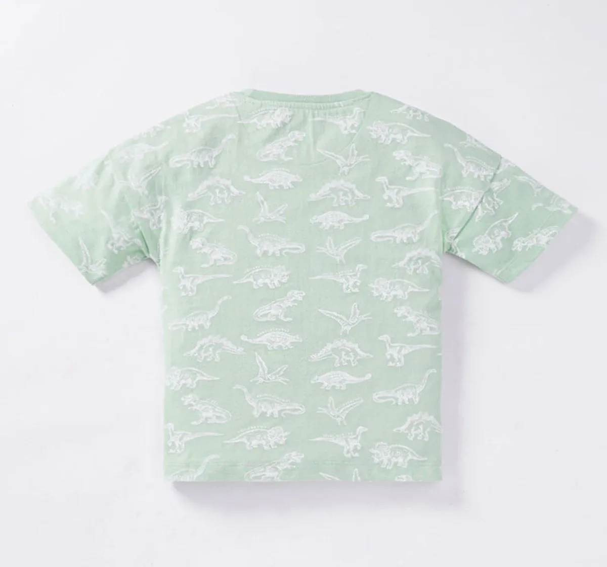 Boys Dino Printed T-Shirt
