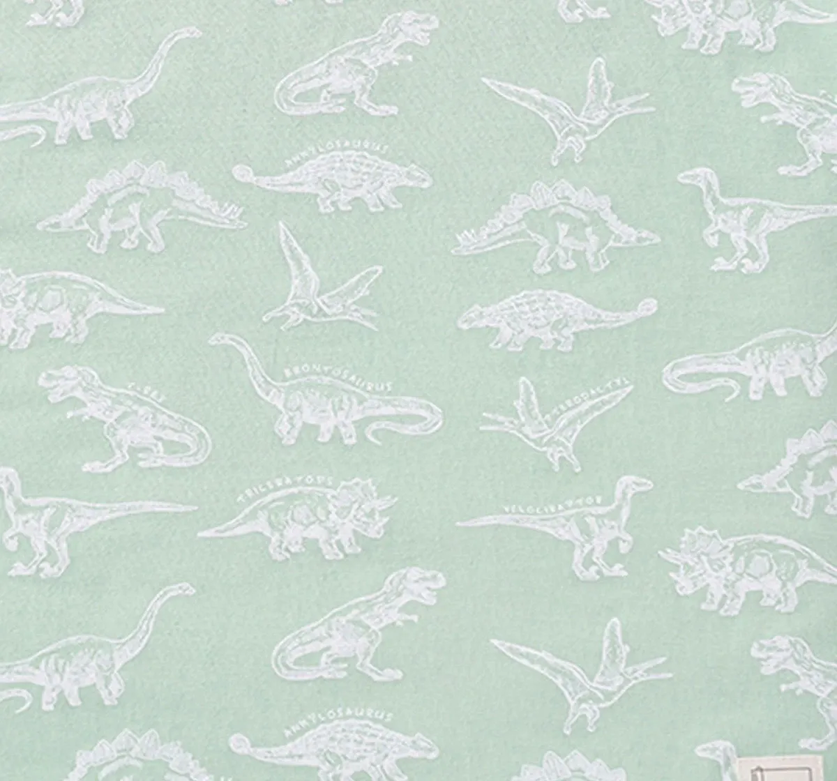 Boys Dino Printed T-Shirt