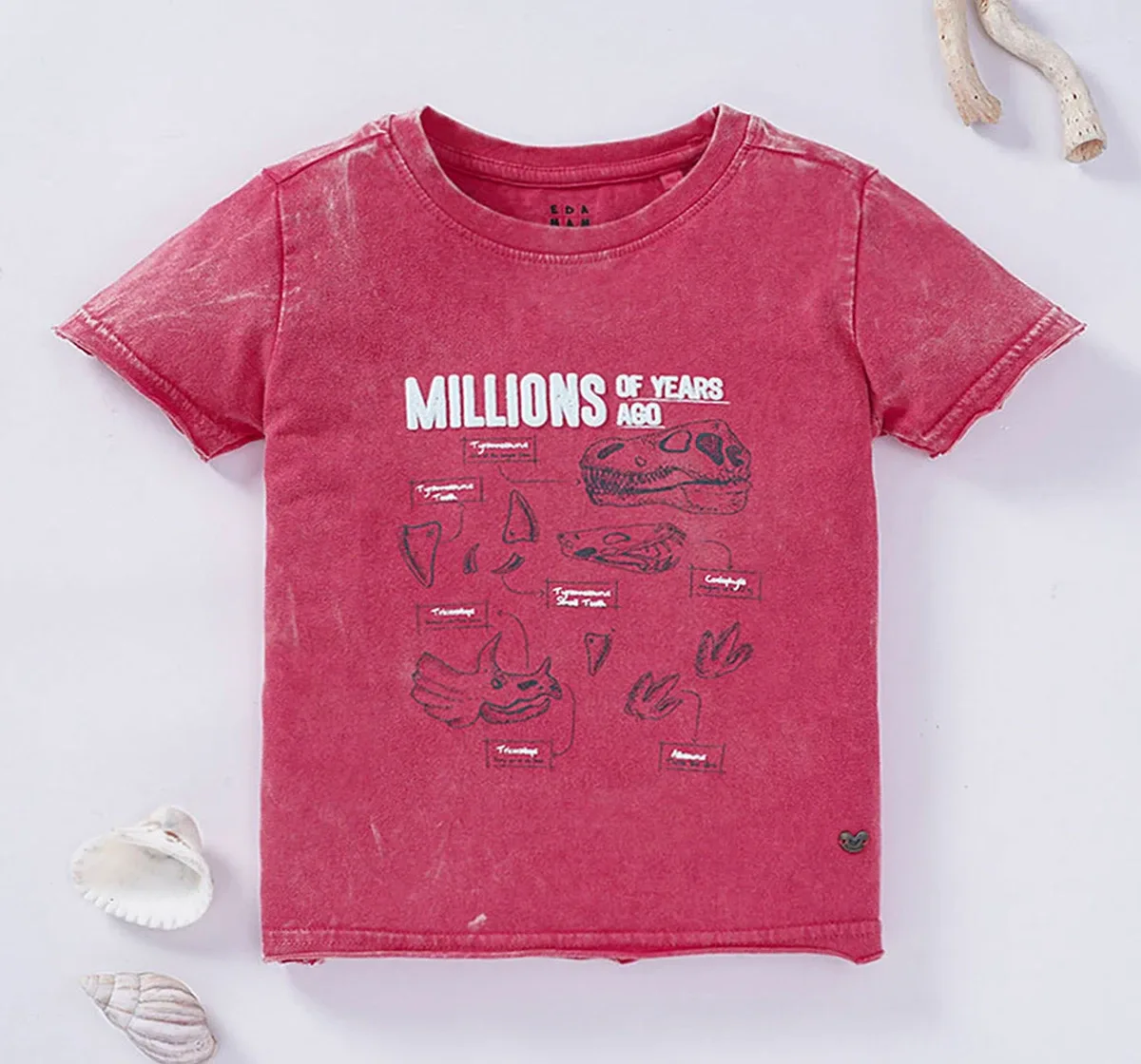 Boys Dino Chest Print T-Shirt