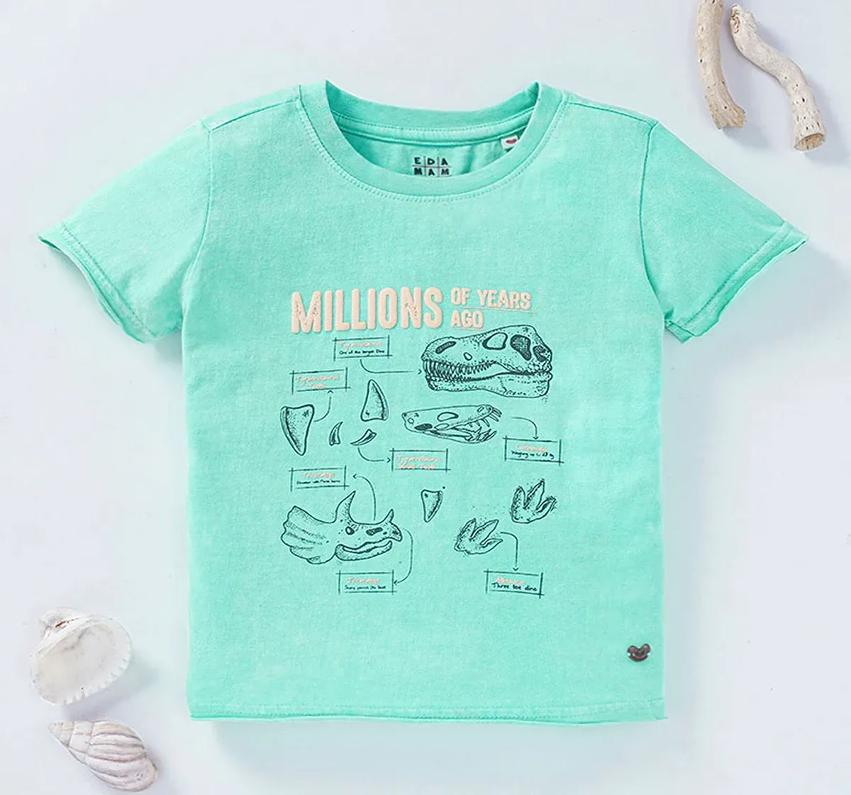 Boys Dino Chest Print T-Shirt