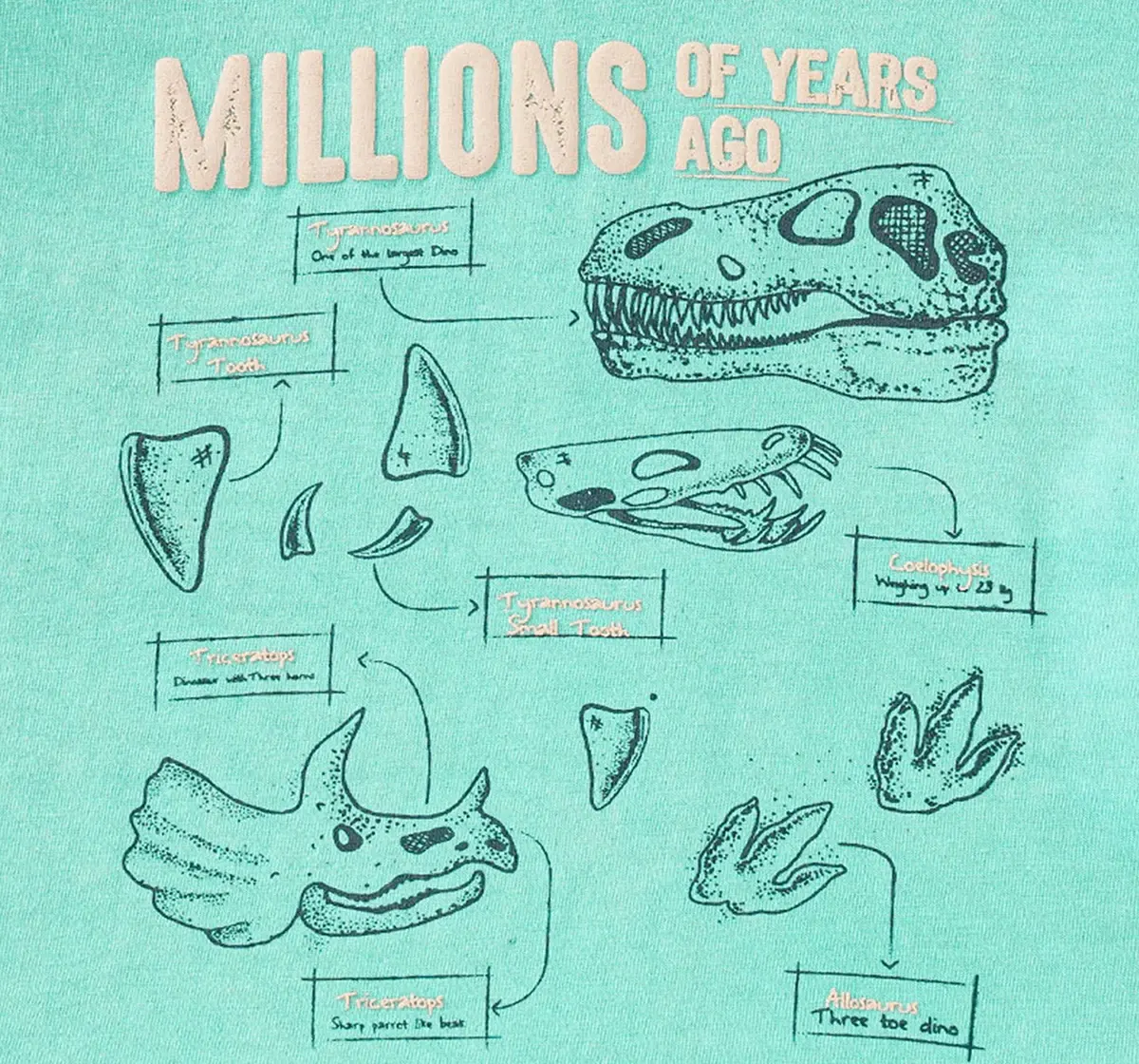 Boys Dino Chest Print T-Shirt