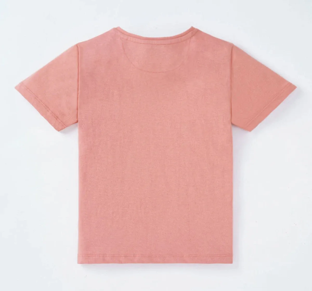Boys Dog Printed T-Shirt