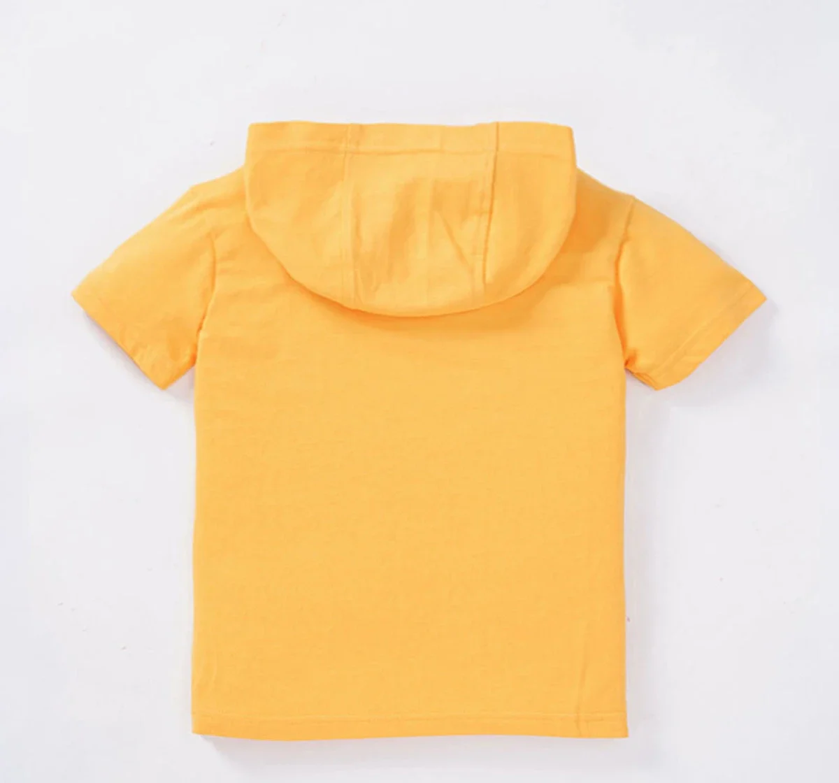 Boys Hooded T-Shirt With Chest Print