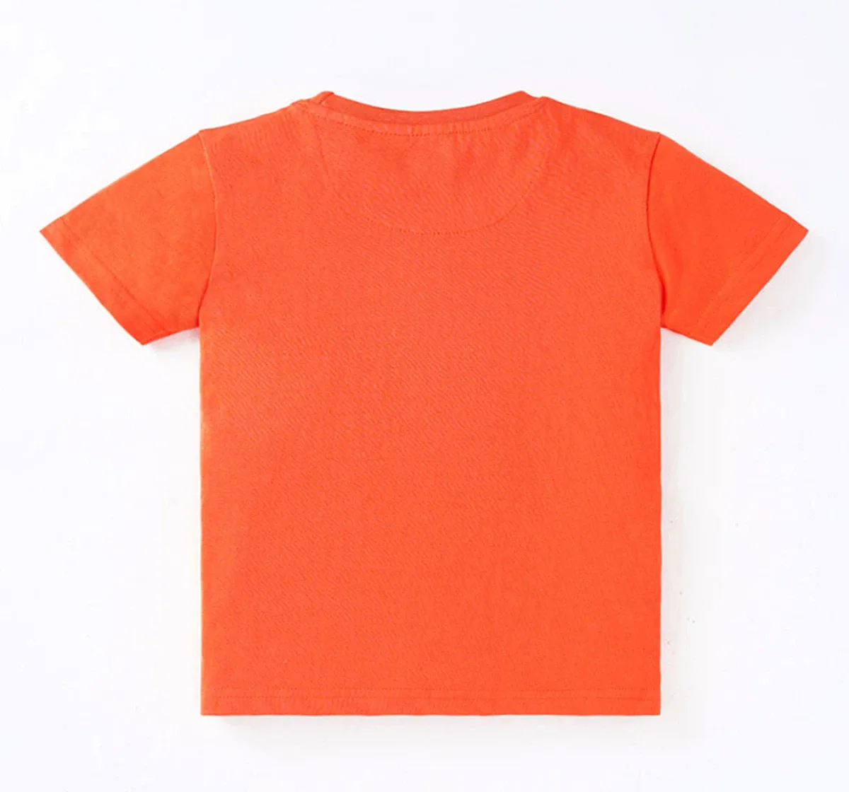 Boys Outdoor Print T-Shirt