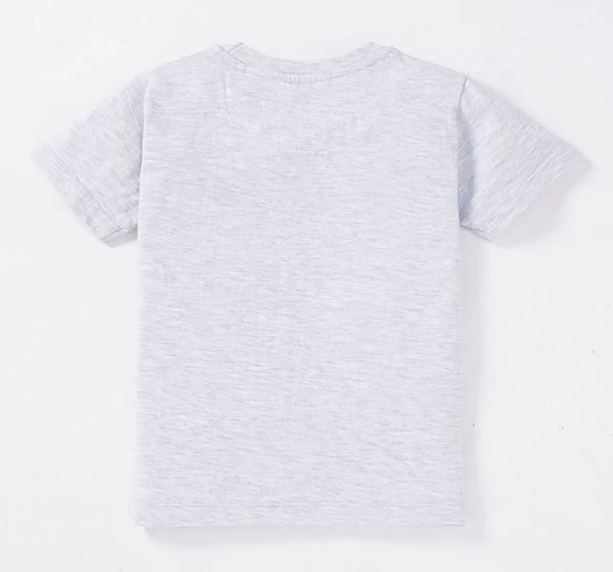 Boys Printed Tees Pack Of 2