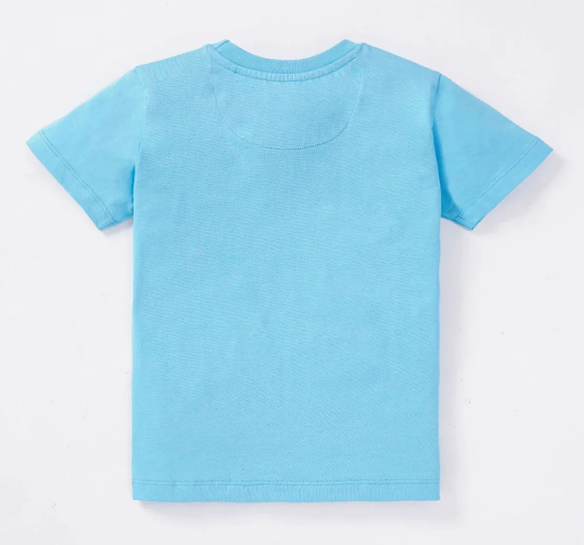 Boys Printed Tees Pack Of 2