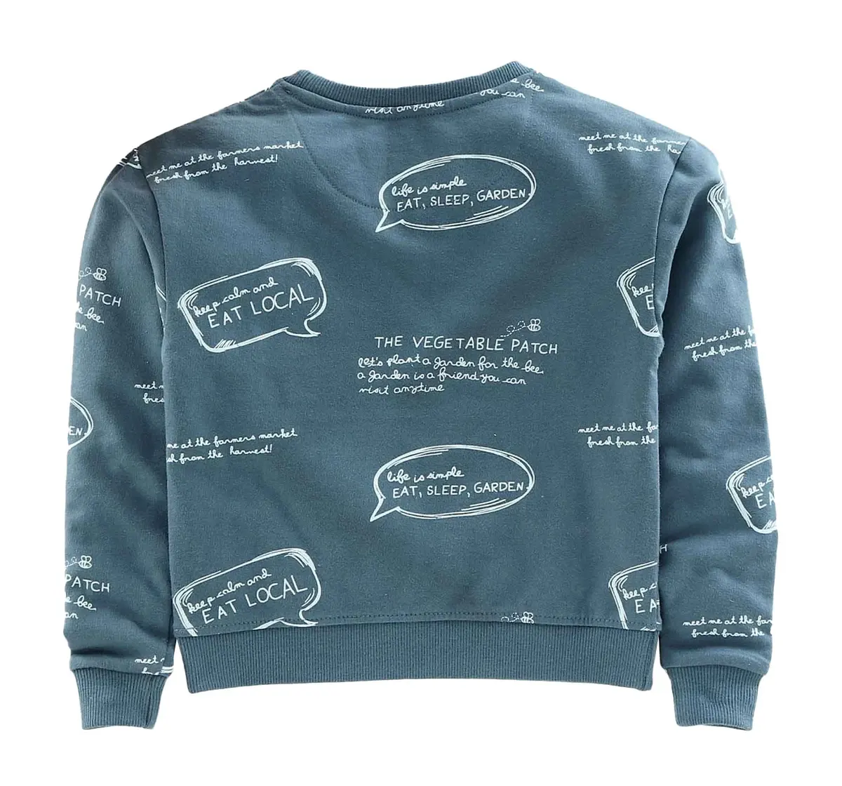Boys Printed Sweatshirt - Blue