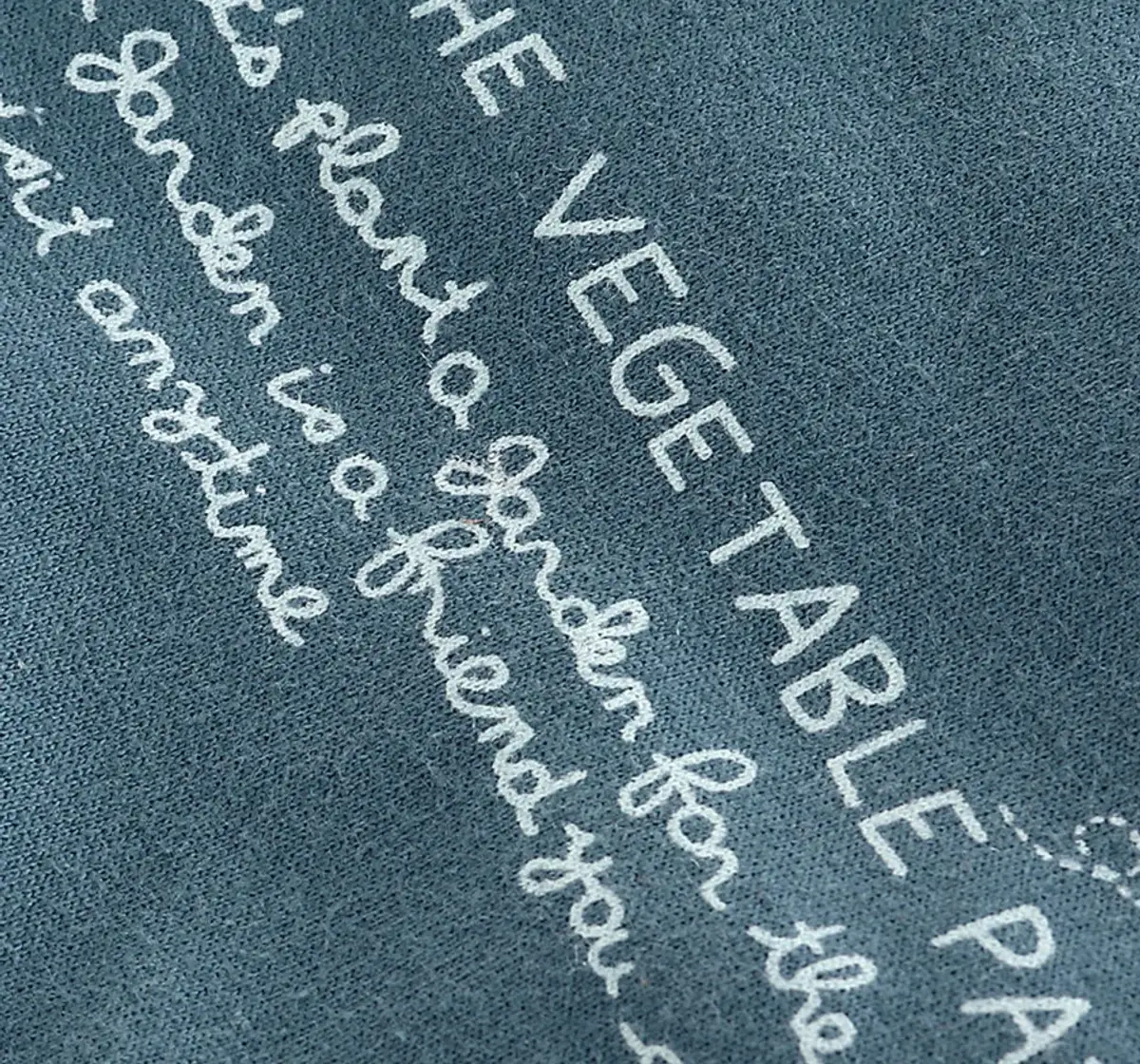 Boys Printed Sweatshirt - Blue