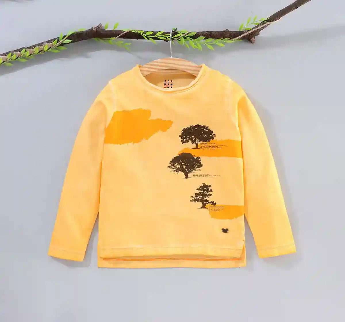 Boys Full Sleeve Washed Tee - Yellow