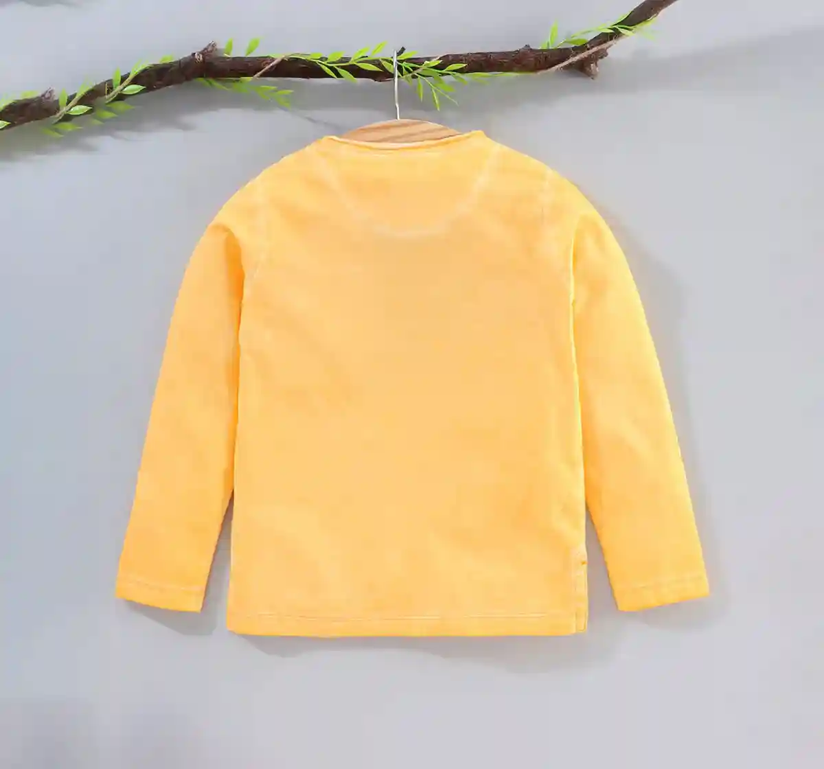 Boys Full Sleeve Washed Tee - Yellow