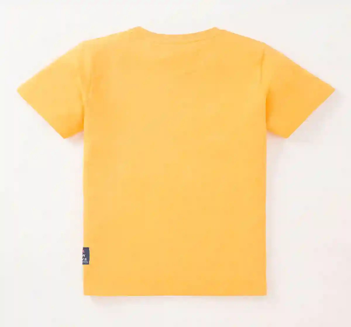 Boys Fashion Tshirt