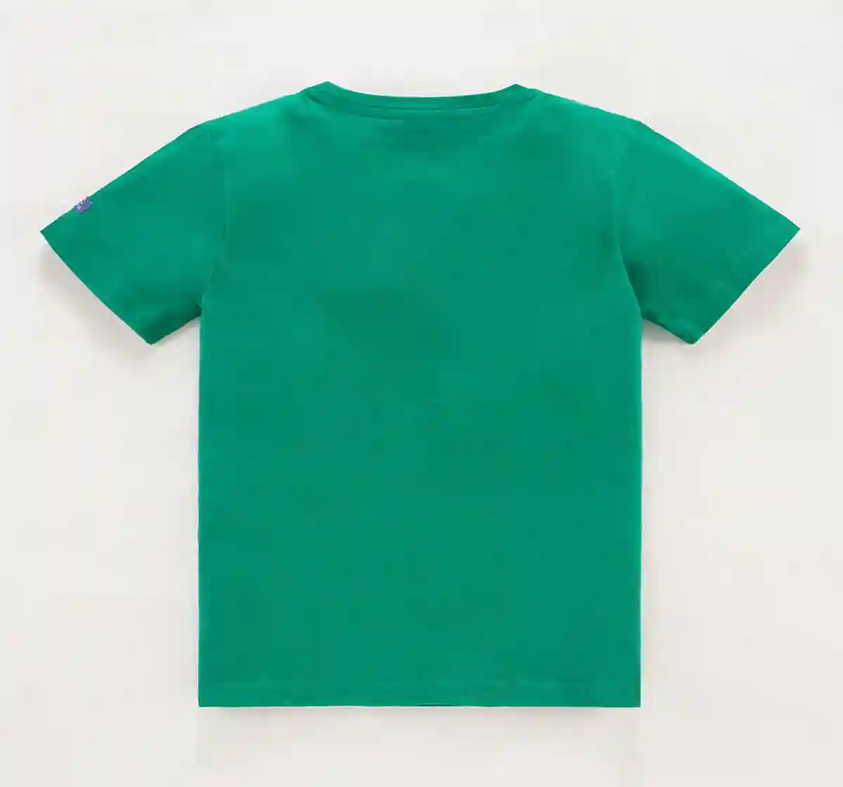 Boys Fashion T-shirt