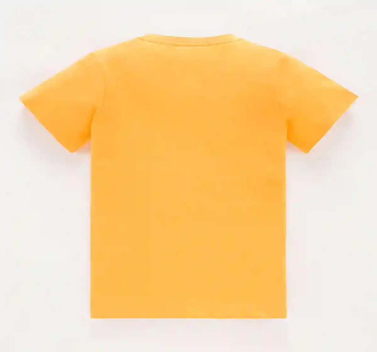 Boys Fashion T-shirt