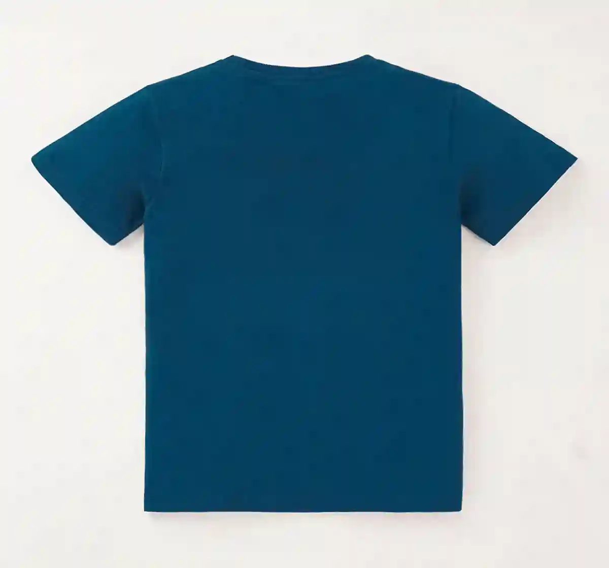 Boys Fashion Tshirt
