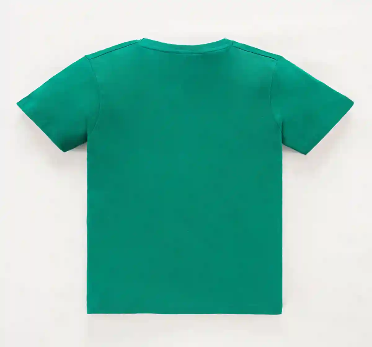 Boys Fashion T-shirt