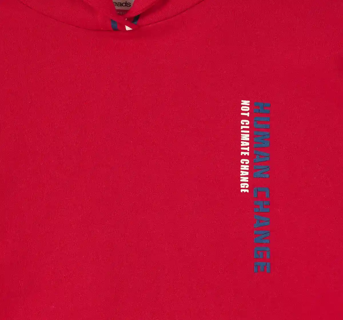 Boys Sweatshirt With Hoodie